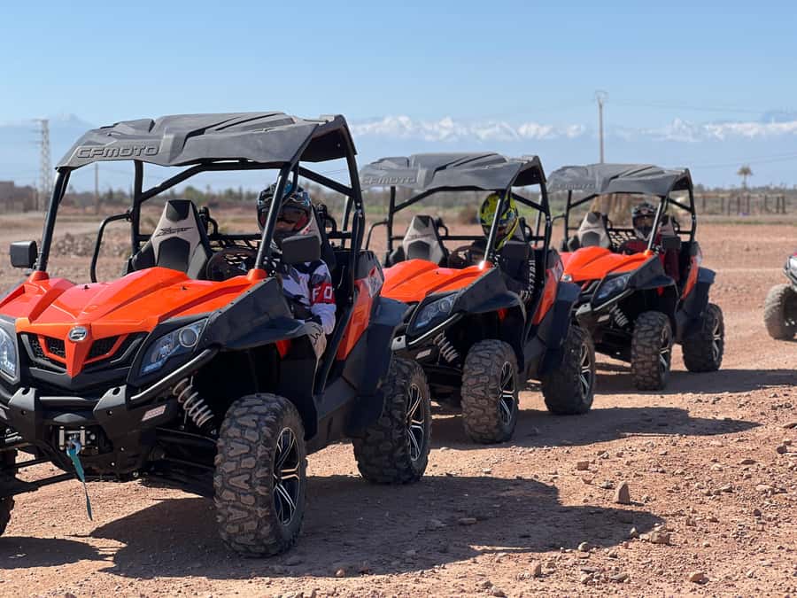 Marrakech Buggy Palmerie and Desert - Who will enjoy this outing most