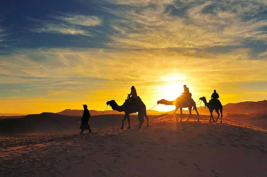 Marrakech: Camel & Quad Bike Tour with Sunset, Dinner & Show - What this Agafay evening really offers