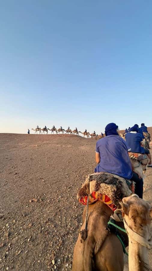 Marrakech: Camel & Quad Bike Tour with Sunset, Dinner & Show - Quad biking for 30 minutes