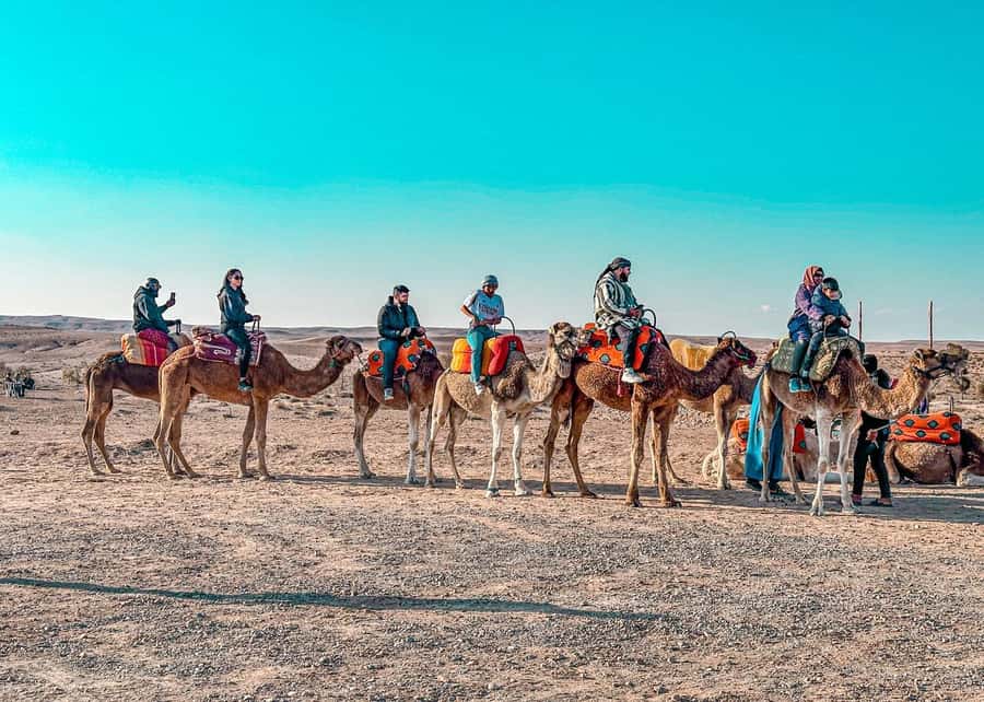 Marrakech: Camel Ride, Dinner, Pool, and Fire Show in Agafay - Riding a camel as the sun drops