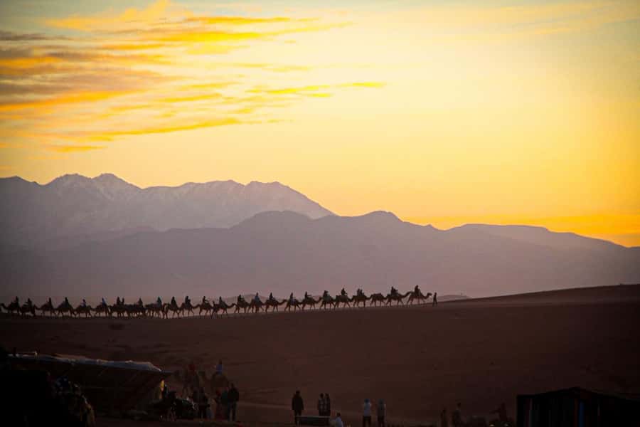 Marrakech: Camel Ride, Dinner, Pool, and Fire Show in Agafay - Who will enjoy this Agafay evening?