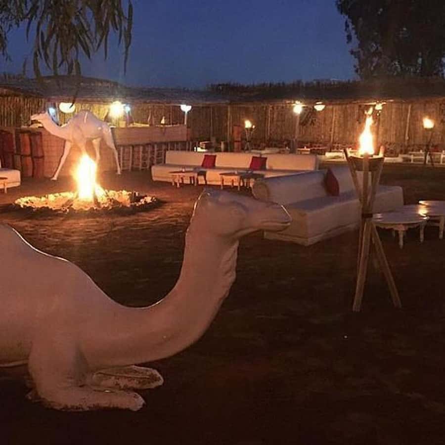 Marrakech: Camel Ride & Dinner with Sunset in Agafay Desert - Music and dance after dinner