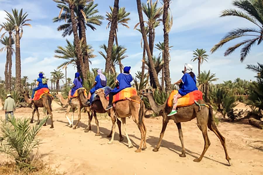 Marrakech: Camel Ride in the Oasis Palmeraie - Small details that improve the experience