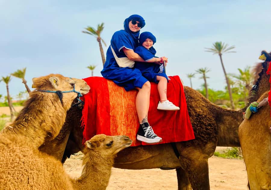Marrakech: Camel Ride in the Oasis Palmeraie - Leaving Marrakech for the Palmeraie