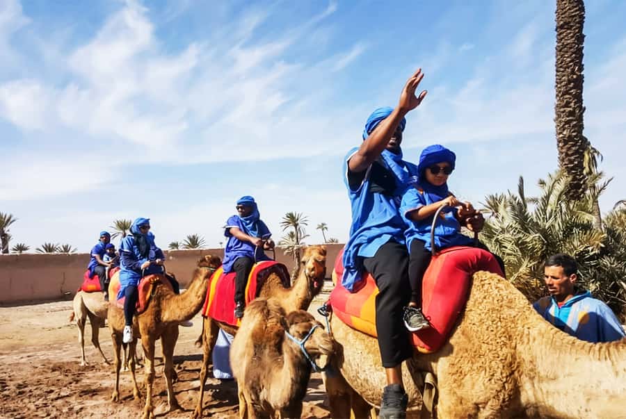 Marrakech: Camel Ride in the Oasis Palmeraie - A closer look at village life