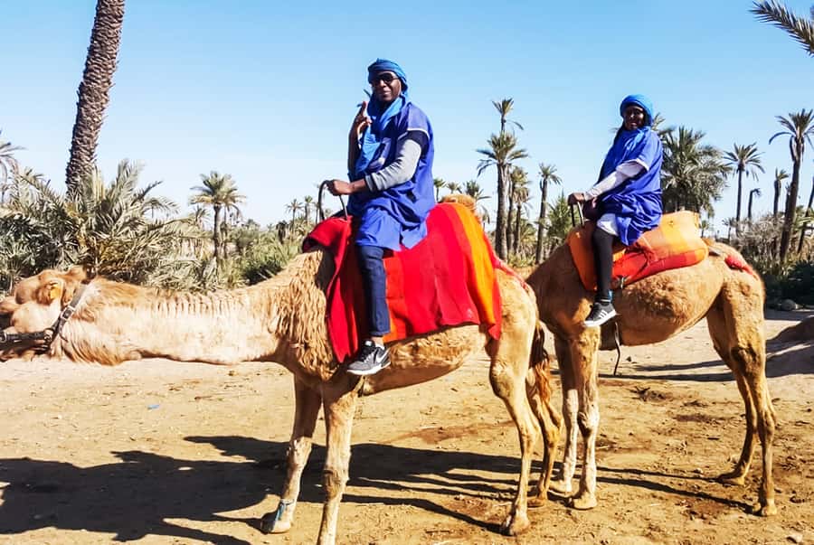 Marrakech: Camel Ride in the Oasis Palmeraie - Mint tea in a nomadic-style area