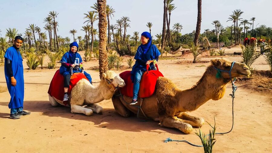 Marrakech: Camel Ride in the Oasis Palmeraie - Families, children, and first-time riders