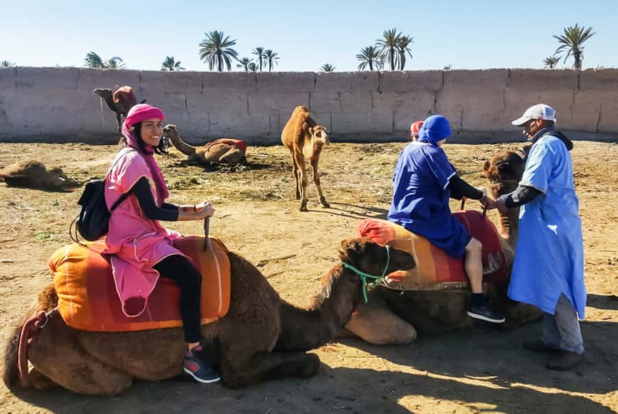 Marrakech: Camel Ride in the Oasis Palmeraie - What the $26 price really covers