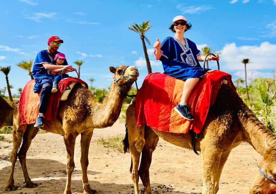 Marrakech: Camel Ride in the Oasis Palmeraie - First impressions at the camel base