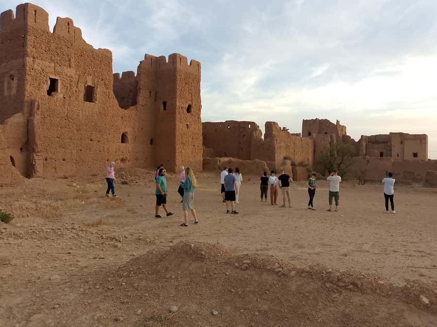Marrakech camel ride in the palm grove - What the camel ride feels like