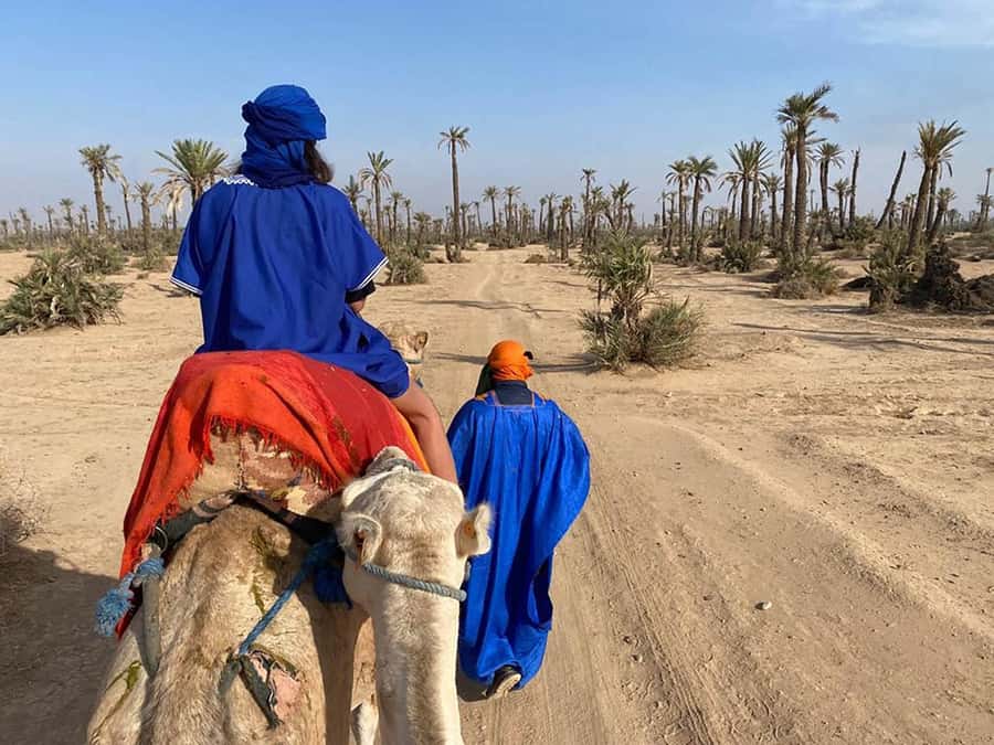 Marrakech Camel Ride in the Palmeraie Palm Grove - Key points at a glance