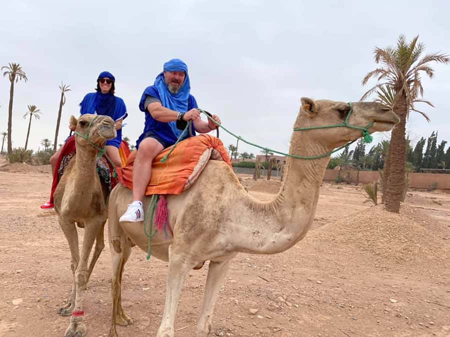 Marrakech Camel Ride in the Palmeraie Palm Grove - Meeting the camels and climbing aboard
