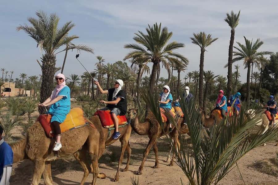 Marrakech: Camel Trek - Key points to know before booking