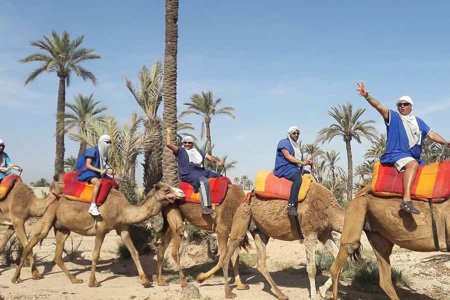 Marrakech: Camel Trek - Mounting the dromedary and starting the ride