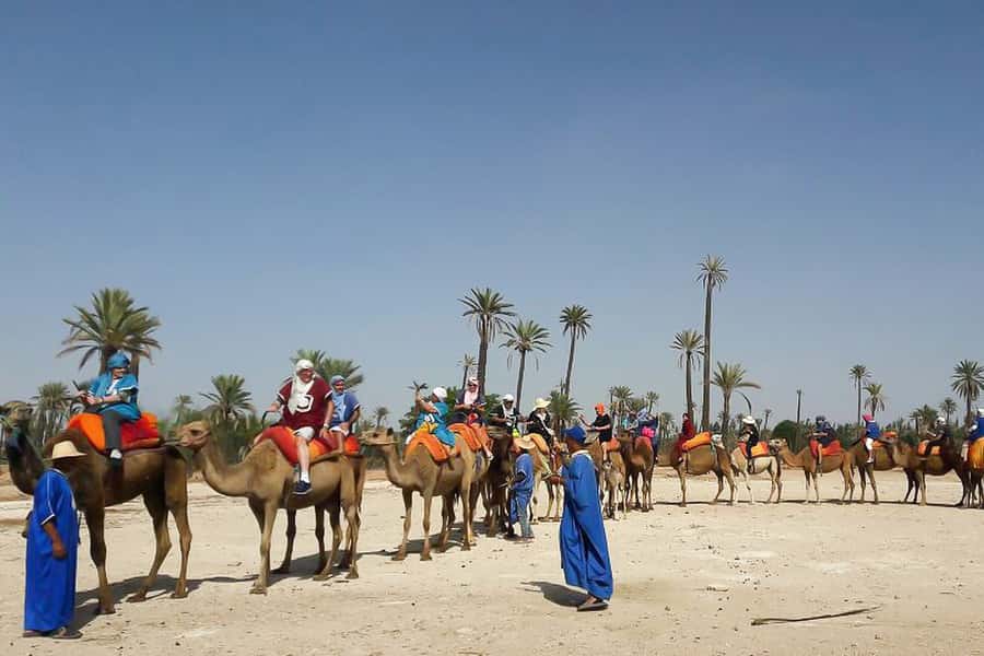 Marrakech: Camel Trek - Pickup from your riad and the trip to the palms