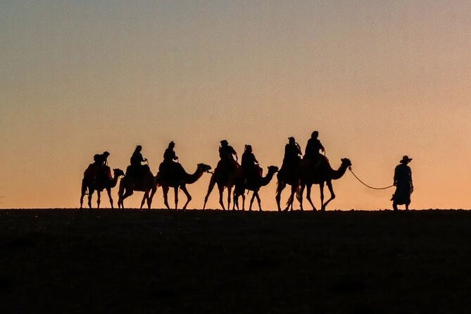 Marrakech: Camels & Quads on Sunset and Luxury Dinner with Show - Quick points before you book