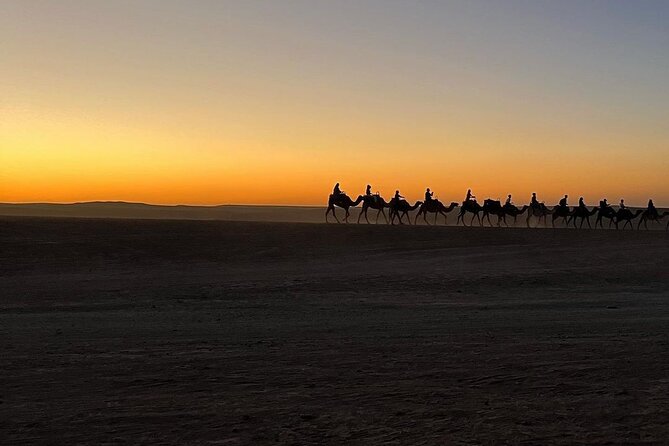 Marrakech: Camels & Quads on Sunset and Luxury Dinner with Show - Half an hour on the quad bikes