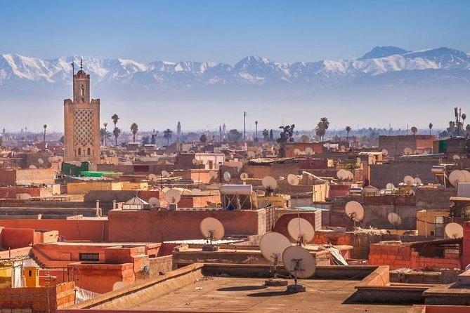 Marrakech City Highlights Half-Day Tour - Timing, transport, and the four-hour limit