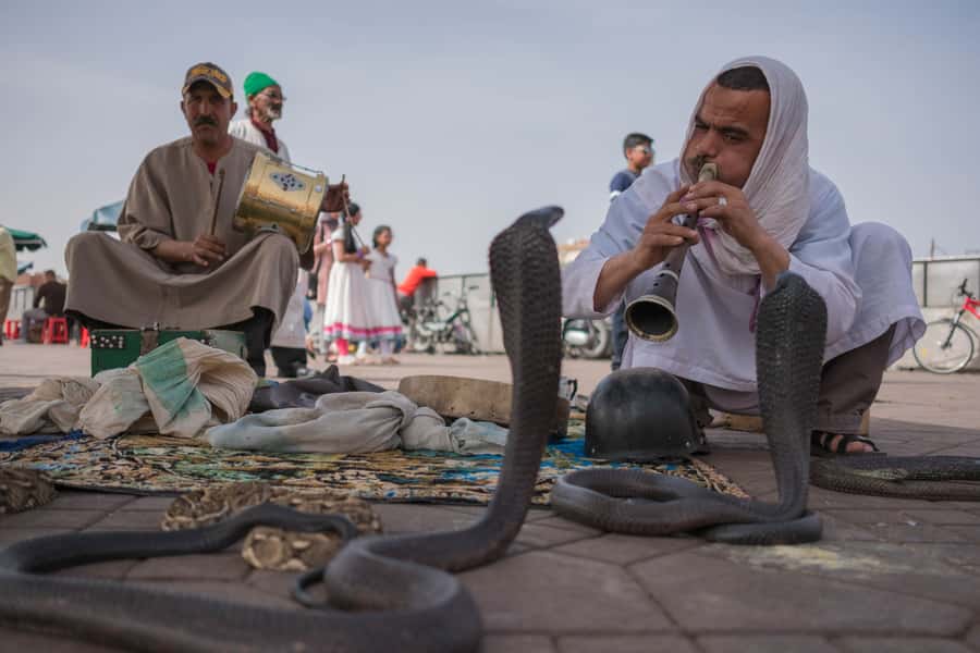 Marrakech: Customized Guided Walking Tour - Why a private Marrakech walk can work so well