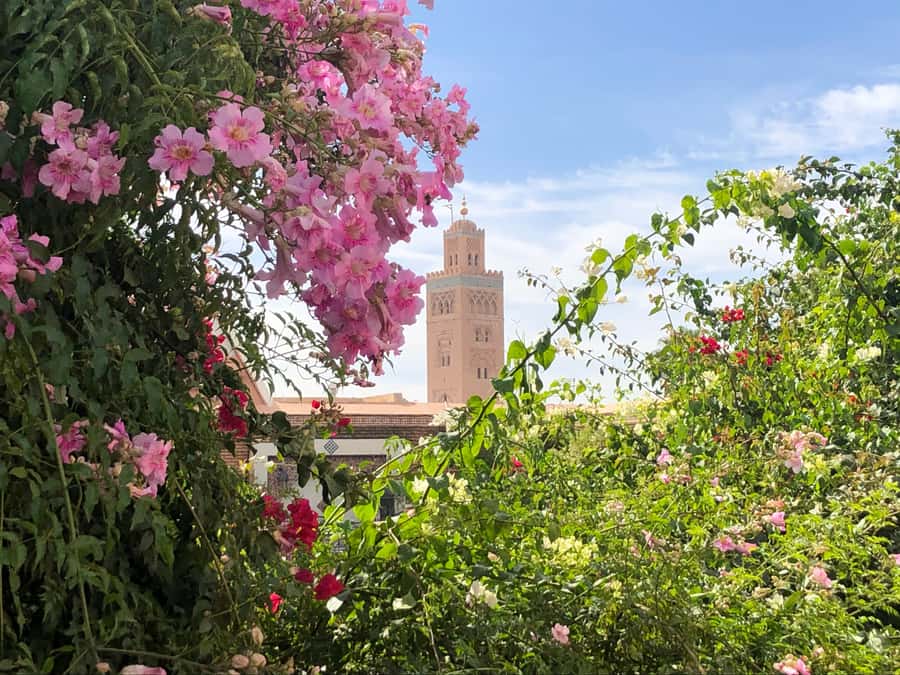 Marrakech: Customized Guided Walking Tour - Koutoubia Mosque and the city’s most familiar tower