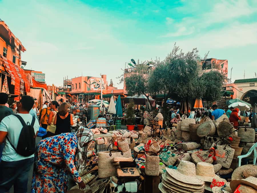 Marrakech: Customized Guided Walking Tour - Quiet neighborhoods, riad terraces, and family workshops
