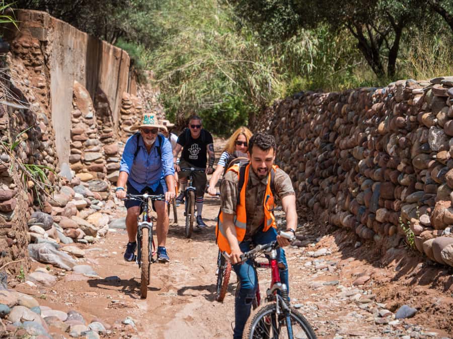 Marrakech: Cycling Tour in Palm Groove with Local Breakfast - Who should book this ride?