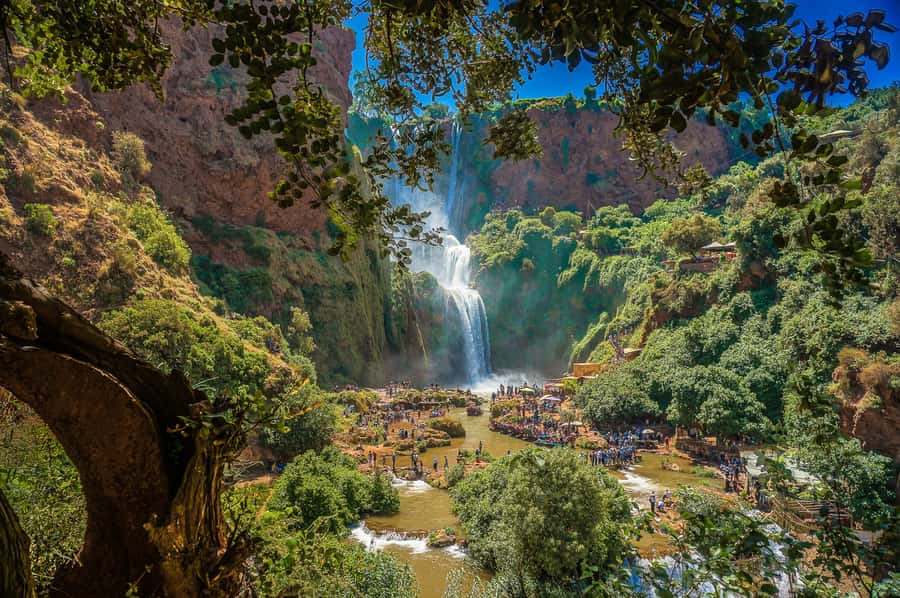 Marrakech: Day Tour to Ouzoud Waterfalls with Boat Trip - Monkeys, viewpoints, and responsible visits