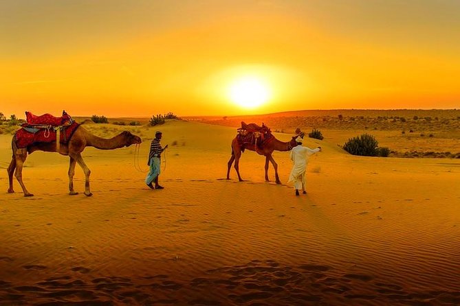 Marrakech Day Trip: Agafay Desert, Atlas Mountains and Camel Ride - Key points to know before booking