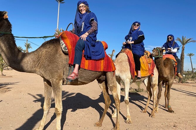 Marrakech day Trip from Casablanca with FREE Camel Ride - Bab Agnaou and the Mellah reveal older Marrakech