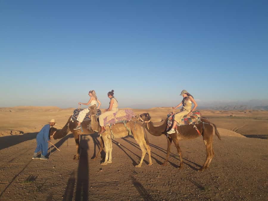 Marrakech Day Trip to Ourika valley & Waterfalls - Key points at a glance