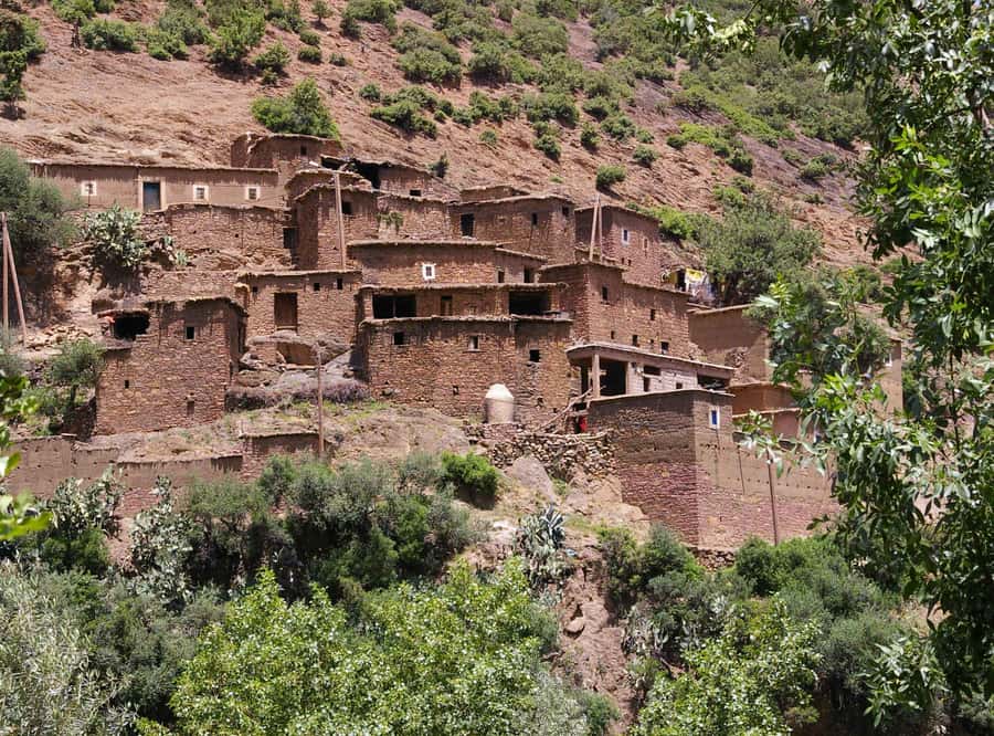 Marrakech Day Trip to Ourika valley & Waterfalls - Mint tea, pottery, and Berber village life