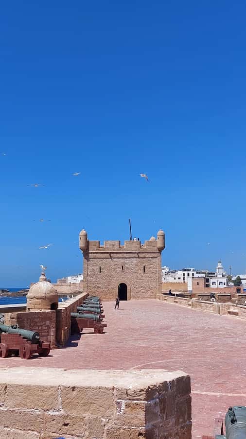 Marrakech: Day Trip to the Beautiful and Historic Essaouira - A seafood lunch near the blue boats