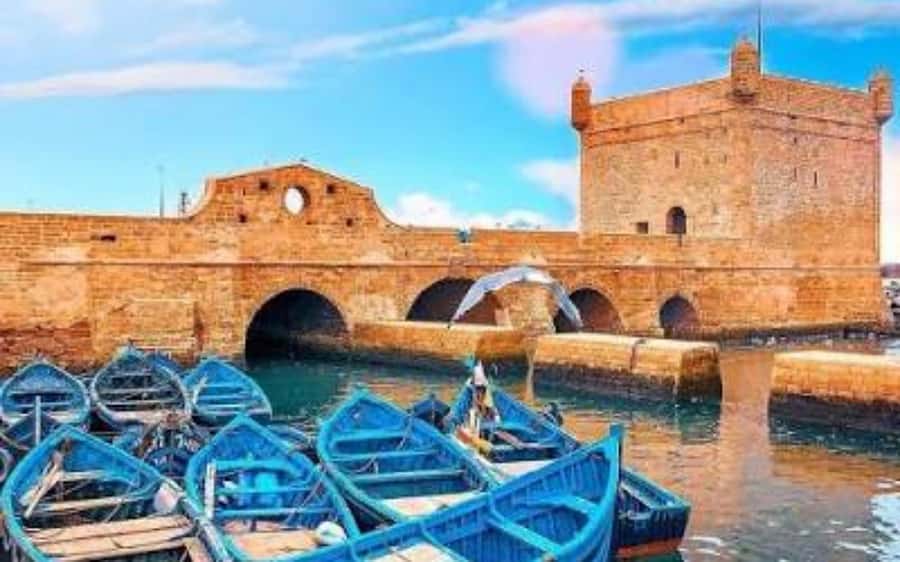 Marrakech: Day Trip to the Beautiful and Historic Essaouira - The 5:00 PM return drive