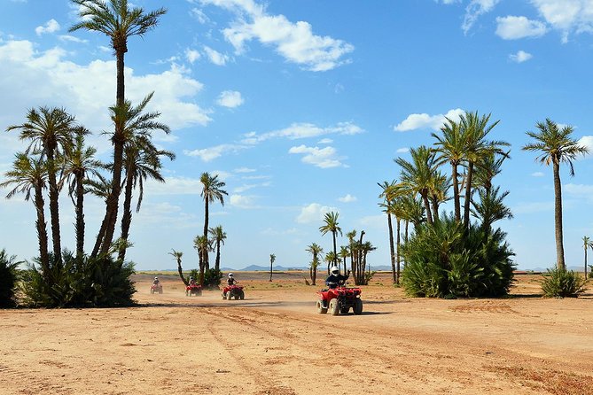 Marrakech Desert and Palm Grove Quad Bike Tour - Quick take: what matters most