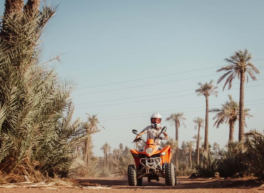 Marrakech: Desert and Palm Grove Quad Tour with Tea - The Berber village tea stop