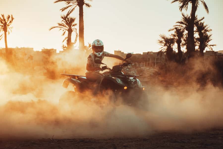 Marrakech: Desert and Palm Grove Quad Tour with Tea - How good is the value at $22?