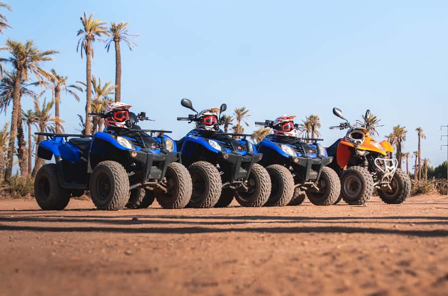 Marrakech: Desert and Palm Grove Quad Tour with Tea - Who will enjoy this most?