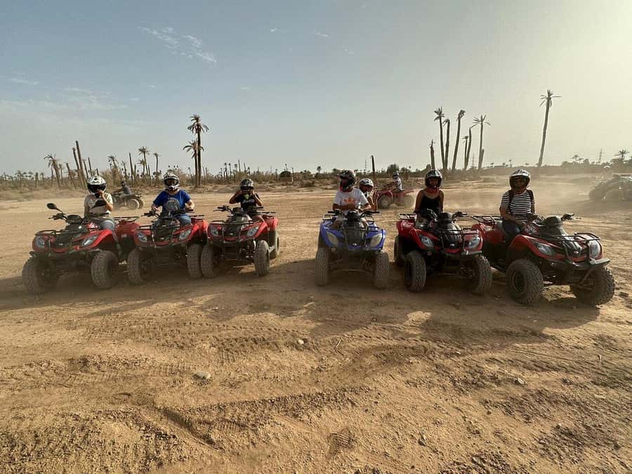 Marrakech: Desert and Palm Grove Sunset Quad Tour with Tea - Price, group size, and what you really receive