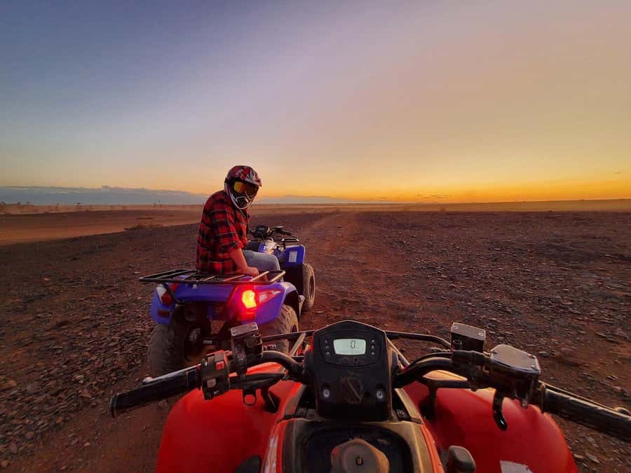 Marrakech: Desert and Palm Grove Sunset Quad Tour with Tea - Why this Marrakech quad tour is worth considering