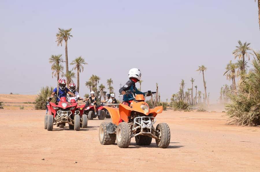 Marrakech: Desert and Palm Grove Sunset Quad Tour with Tea - Riding through palms, villages, and rocky ground