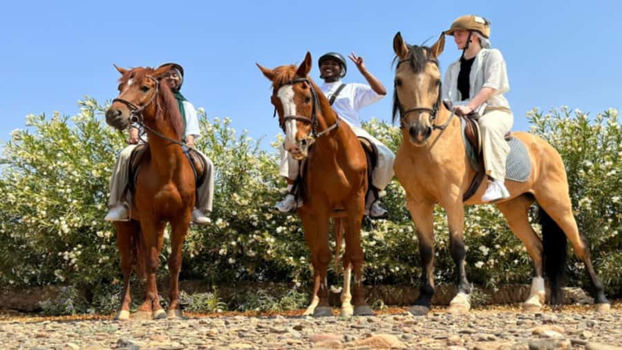 Marrakech: Desert and Palmeraie Horse Riding Tour & Transfer - Key points at a glance