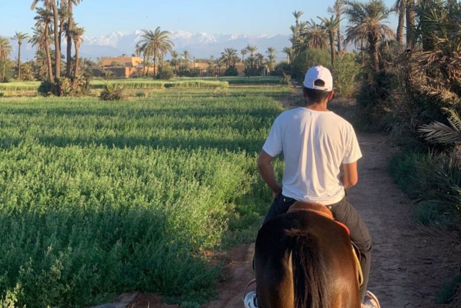 Marrakech: Desert and Palmeraie Horse Riding Tour & Transfer - Best time and useful preparation