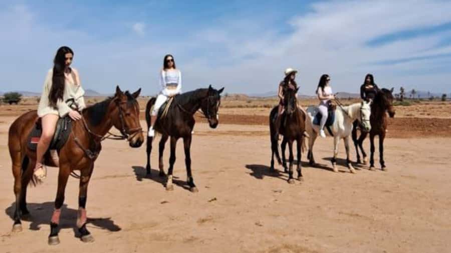 Marrakech: Desert and Palmeraie Horse Riding Tour & Transfer - Choosing the right horse and pace