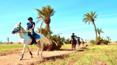 Desert and Palmeraie Horse Riding Tour & Transfer