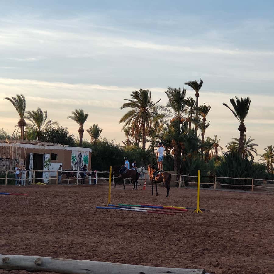 Marrakech: Desert and Palmeraie Horse Riding Tour & Transfer - How much riding time do you get?