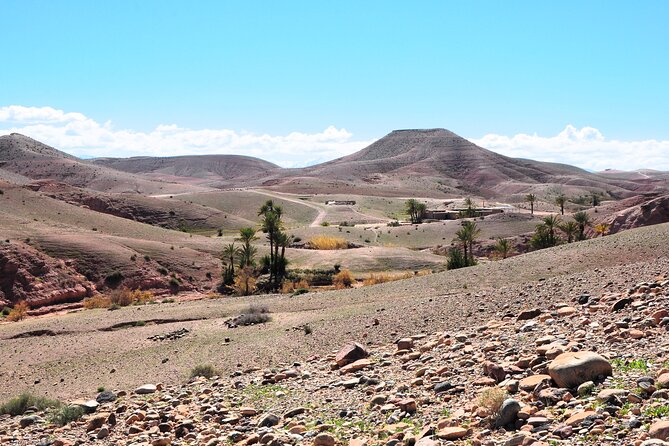 Marrakech Desert Buggy Tour Including Berber Tea Break and transfer - A Berber tea break with a simple snack