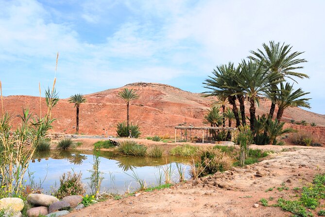Marrakech Desert Buggy Tour Including Berber Tea Break and transfer - Who should book this Agafay outing?