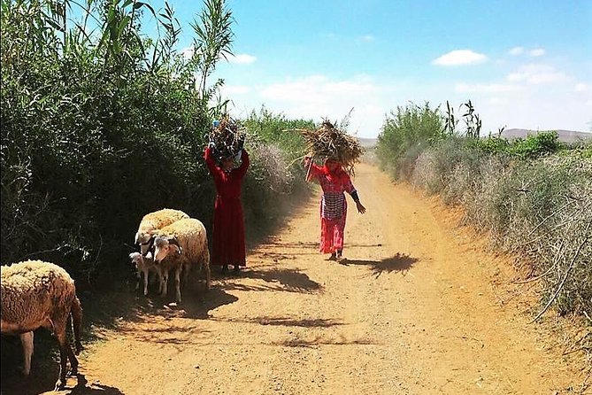 Marrakech Desert Buggy Tour Including Berber Tea Break and transfer - How the tour is organized