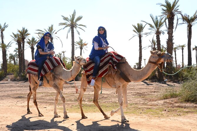 Marrakech Desert Camel Ride - What the Marrakech camel ride really offers