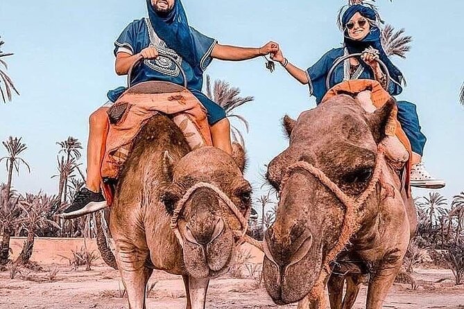 Marrakech Desert Camel Ride - Mint tea inside a traditional tent